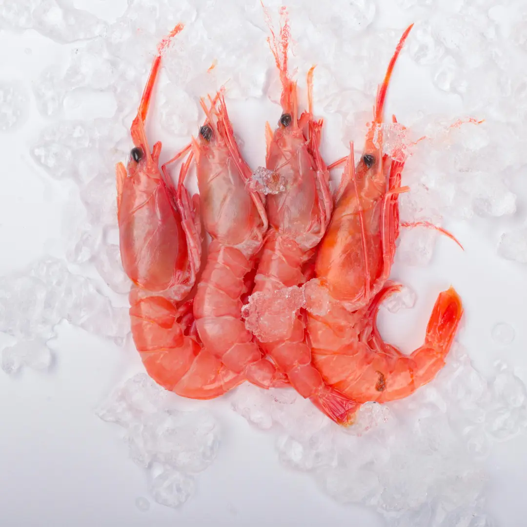 Fresh/Frozen Shrimp