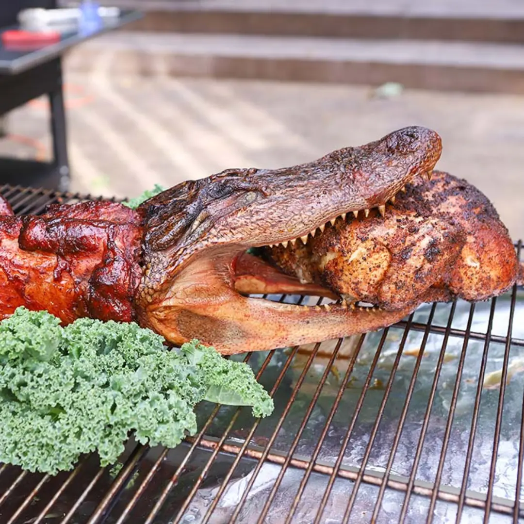 Alligator Fillet Meat