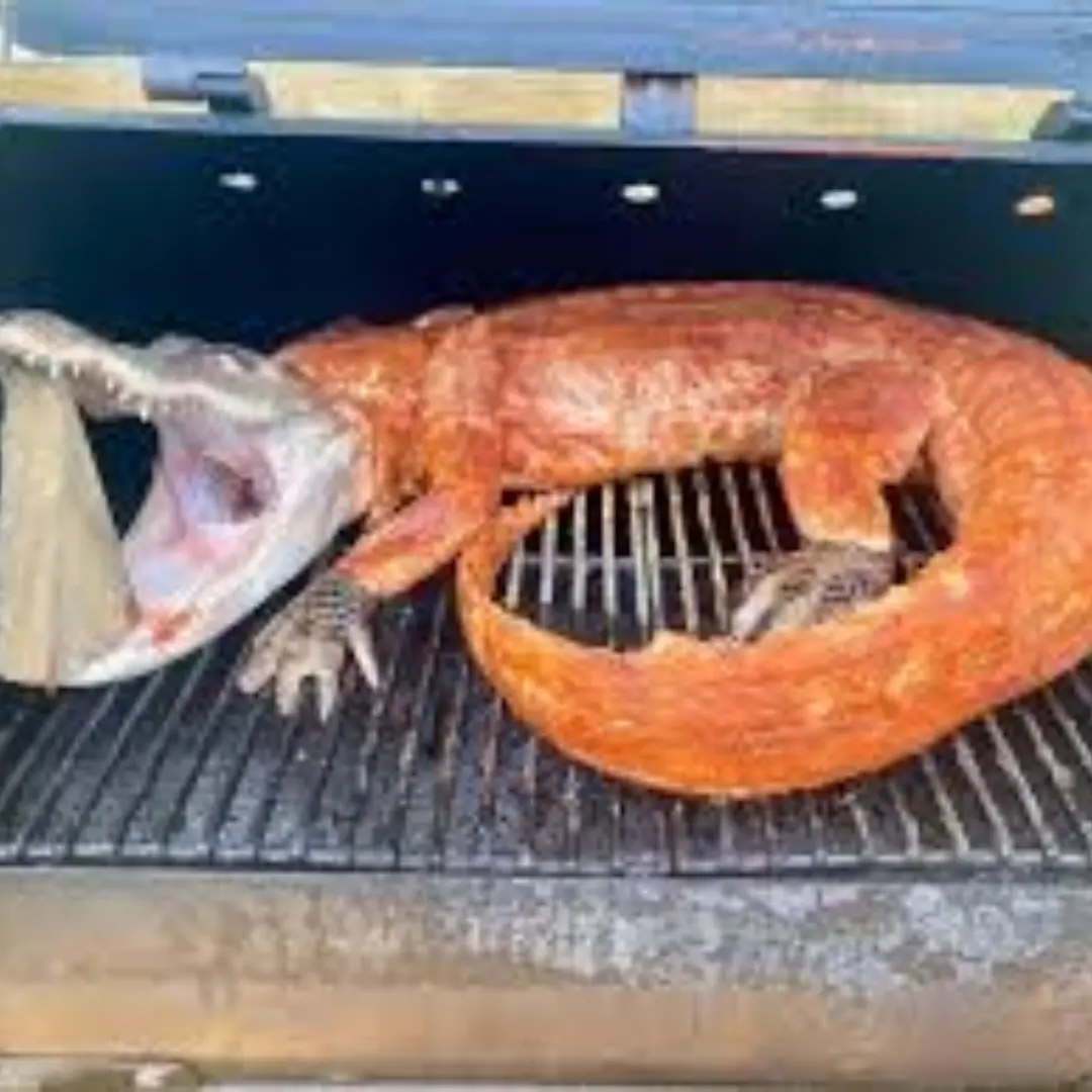 Whole/Skinned Alligator