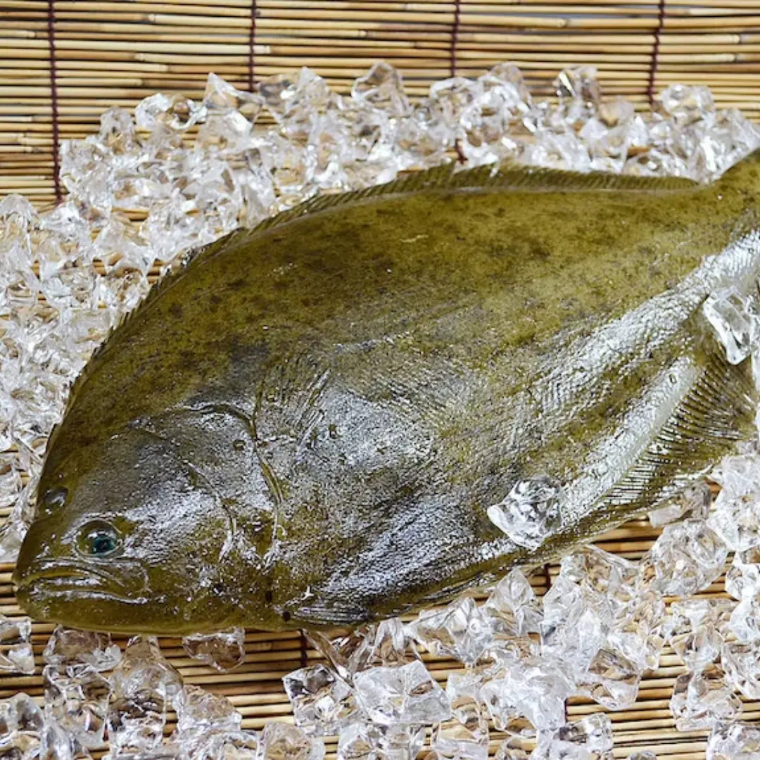 Whole Flounder