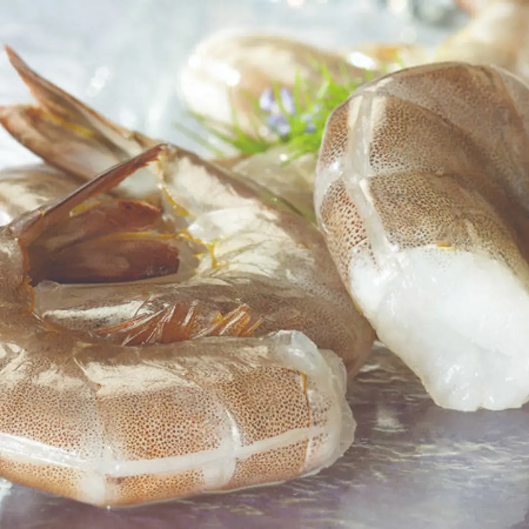 EZ Peel Shrimp