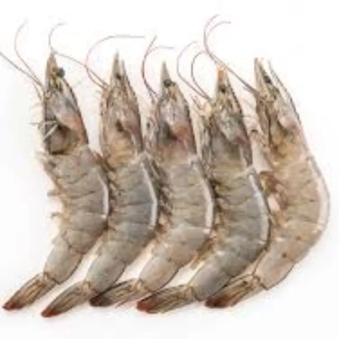 Headless Shrimp