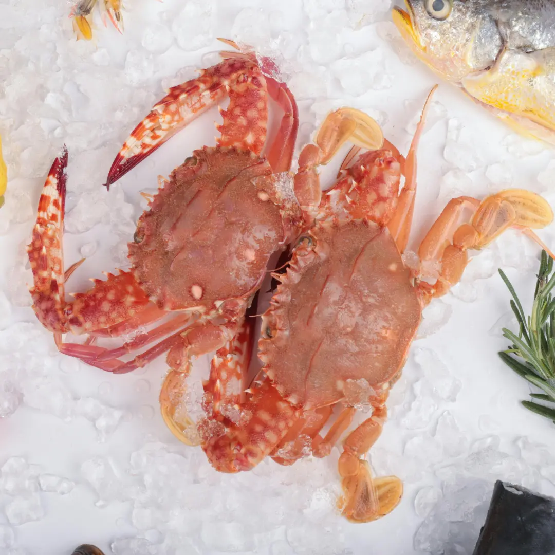 Fresh & Frozen Crab Meat