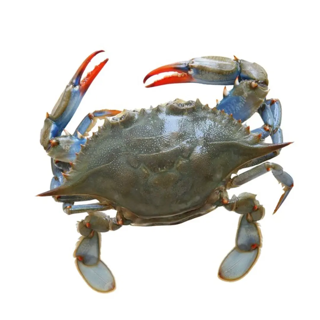 Soft Shell Crabs